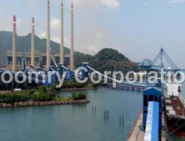 Jiujiang Jiangxi Power Plant and Port Belt Conveyor