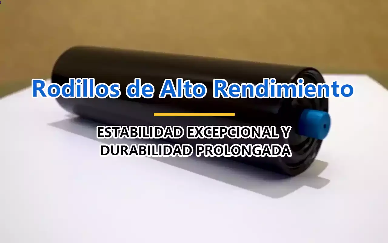 Rodillos de Alto Rendimiento Zoomry - Estabilidad Excepcional y Durabilidad Prol